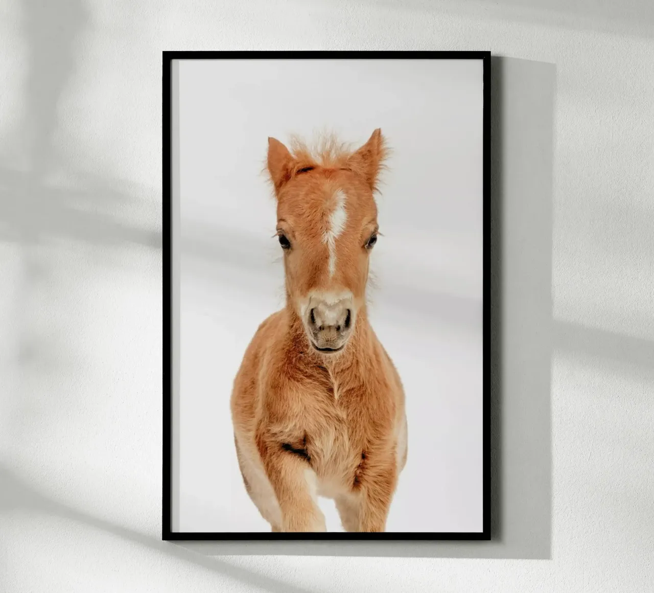 Foal poster by Paws & Claws