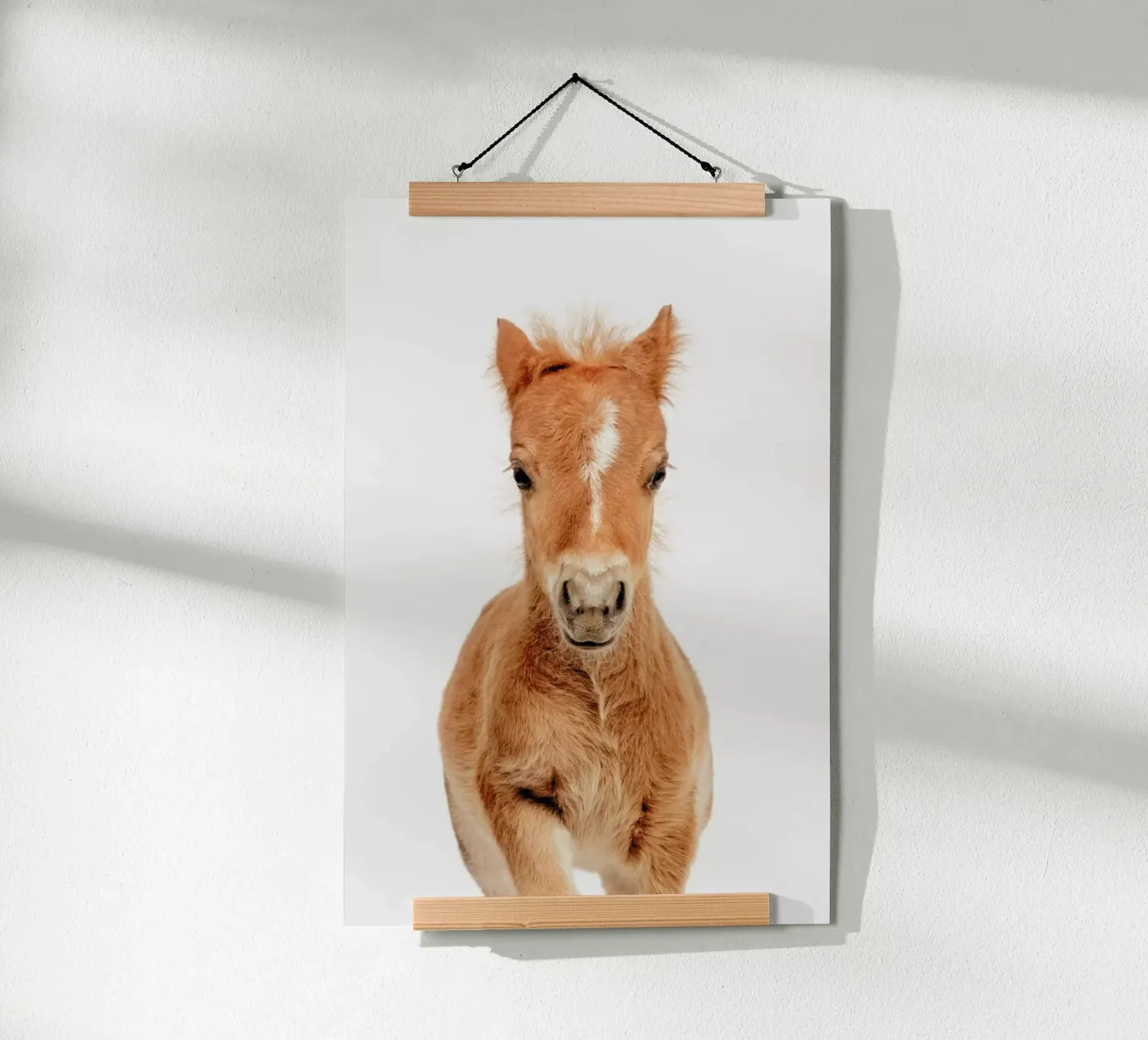 Foal poster da Paws & Claws