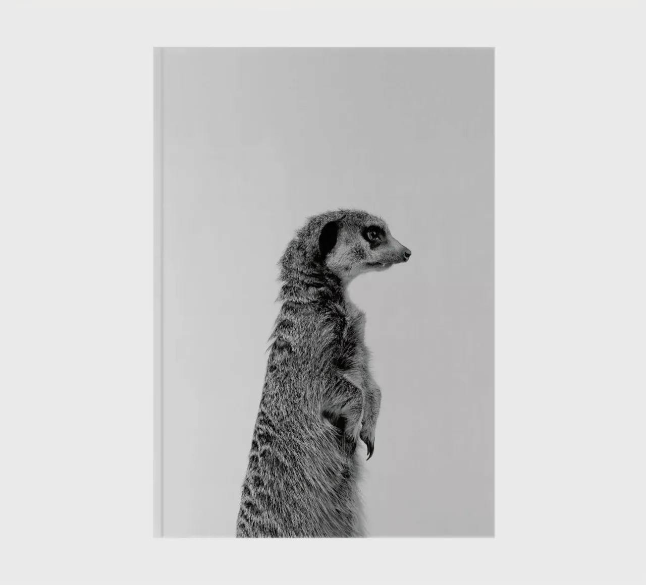 Meerkat Classic notebook by Paws & Claws