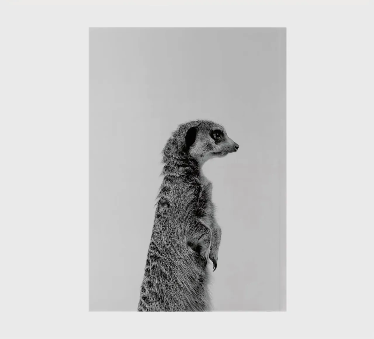 Meerkat Classic notebook by Paws & Claws