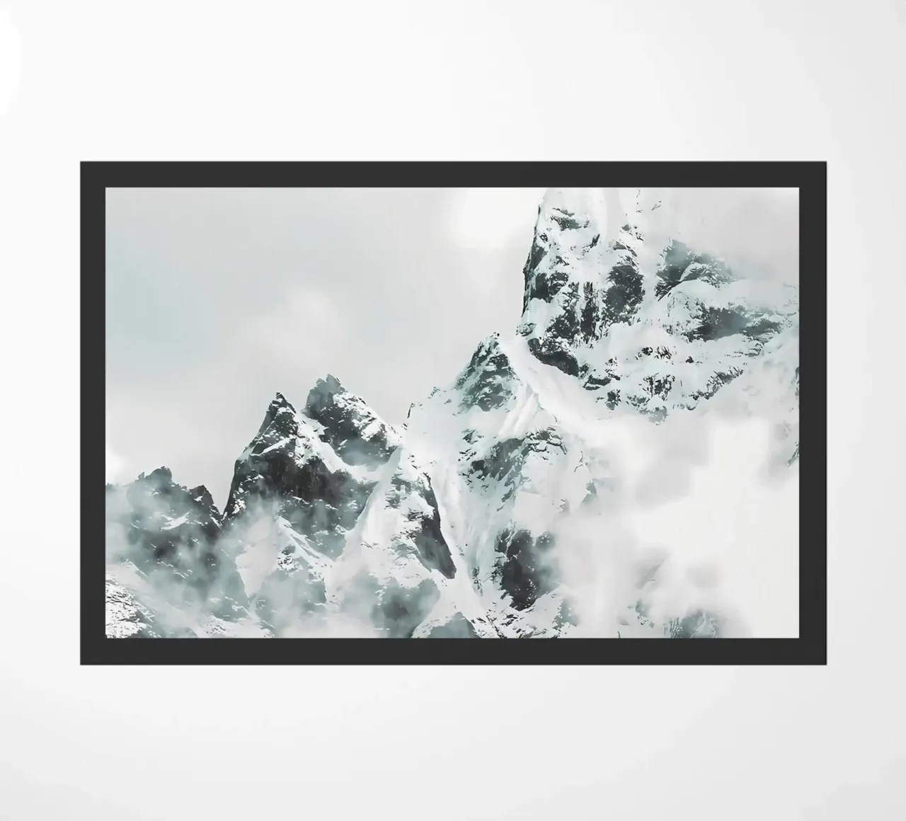 fauna selvatica zerbino da Matthew Katz