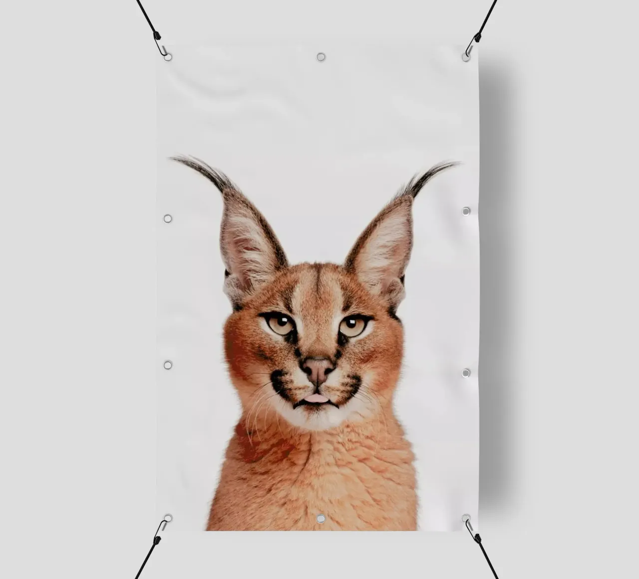 Lynx telo in pvc da Paws & Claws