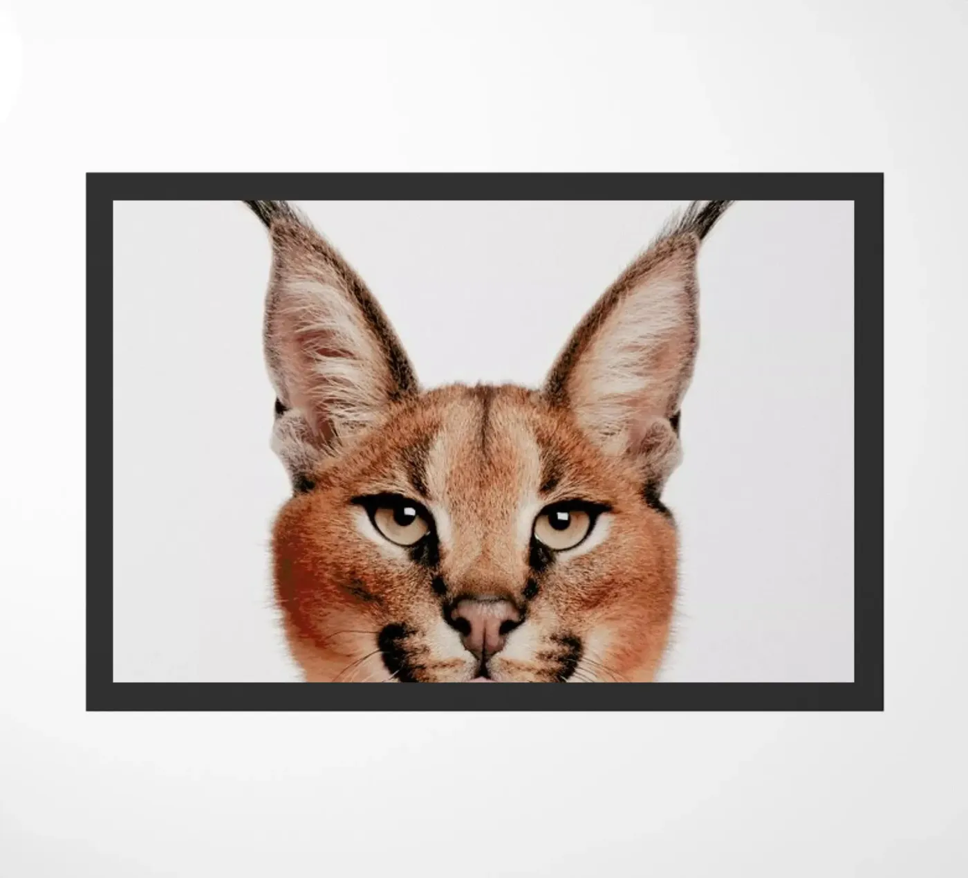 Lynx doormat by Paws & Claws