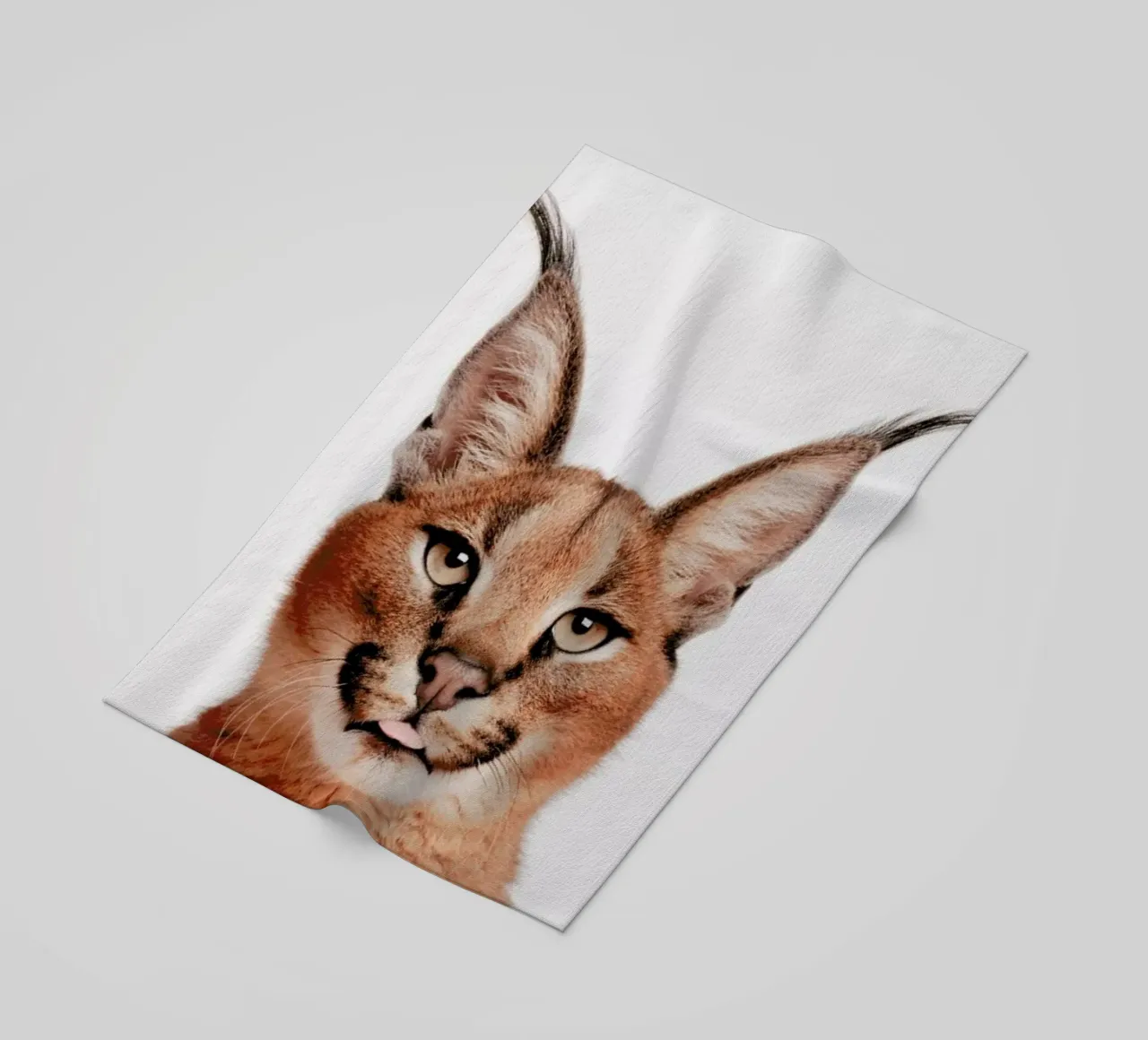 Lynx telo mare da Paws & Claws