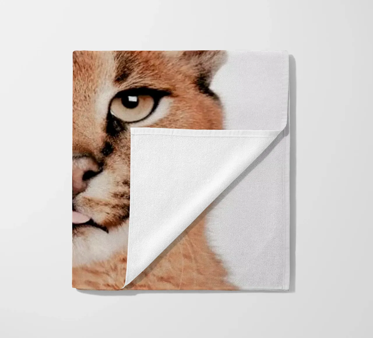 Lynx telo mare da Paws & Claws