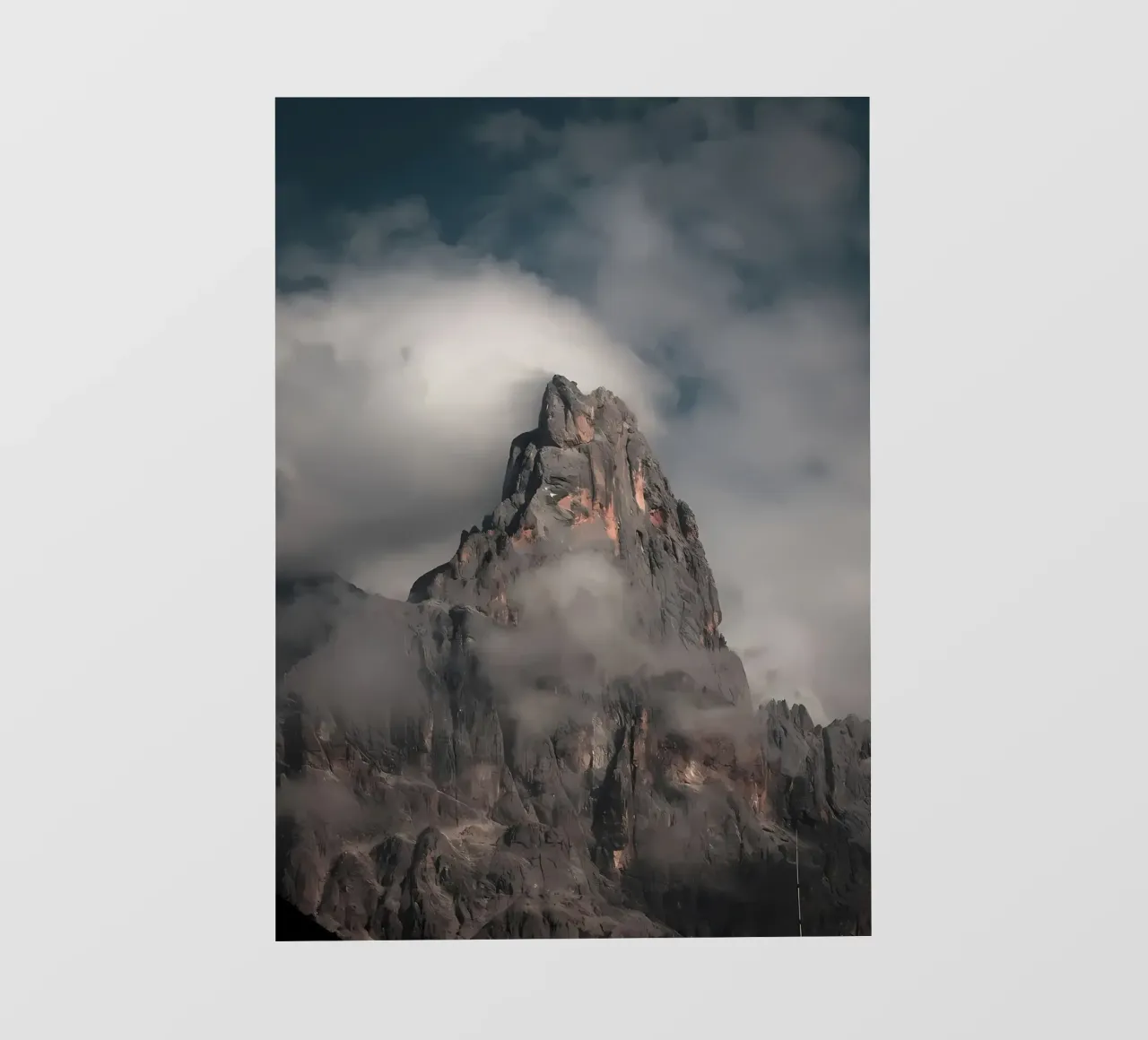 nature poster telo in pvc da Matthew Katz