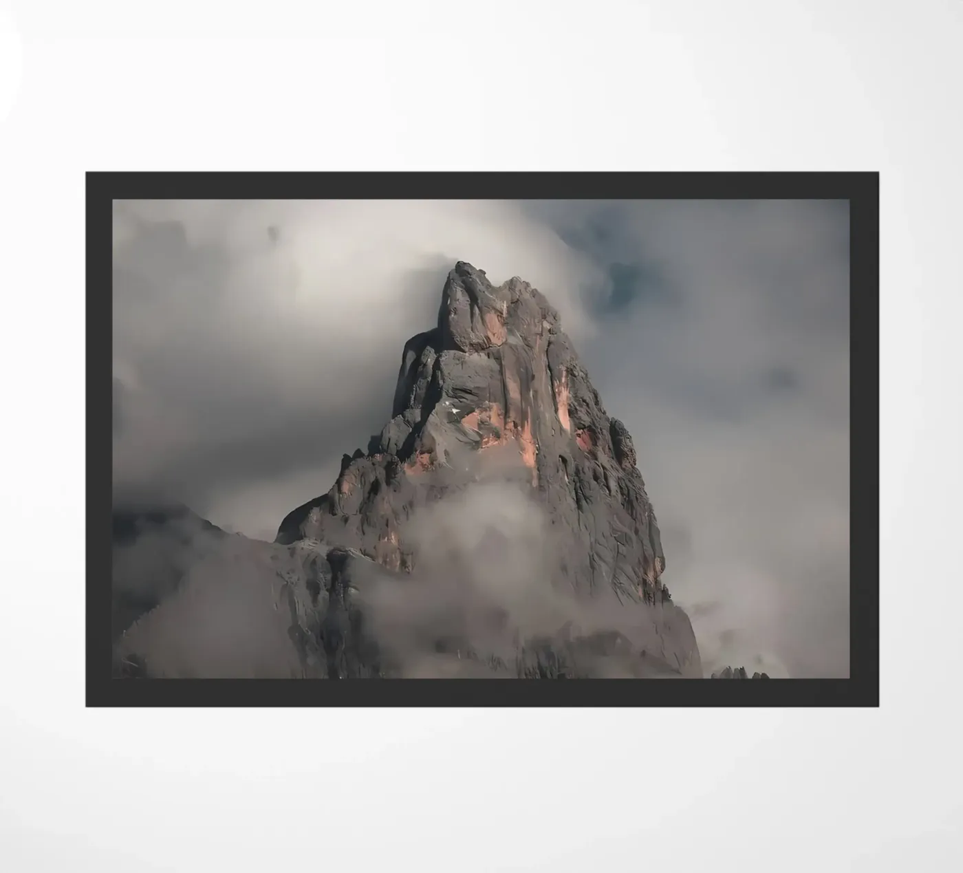 nature poster zerbino da Matthew Katz