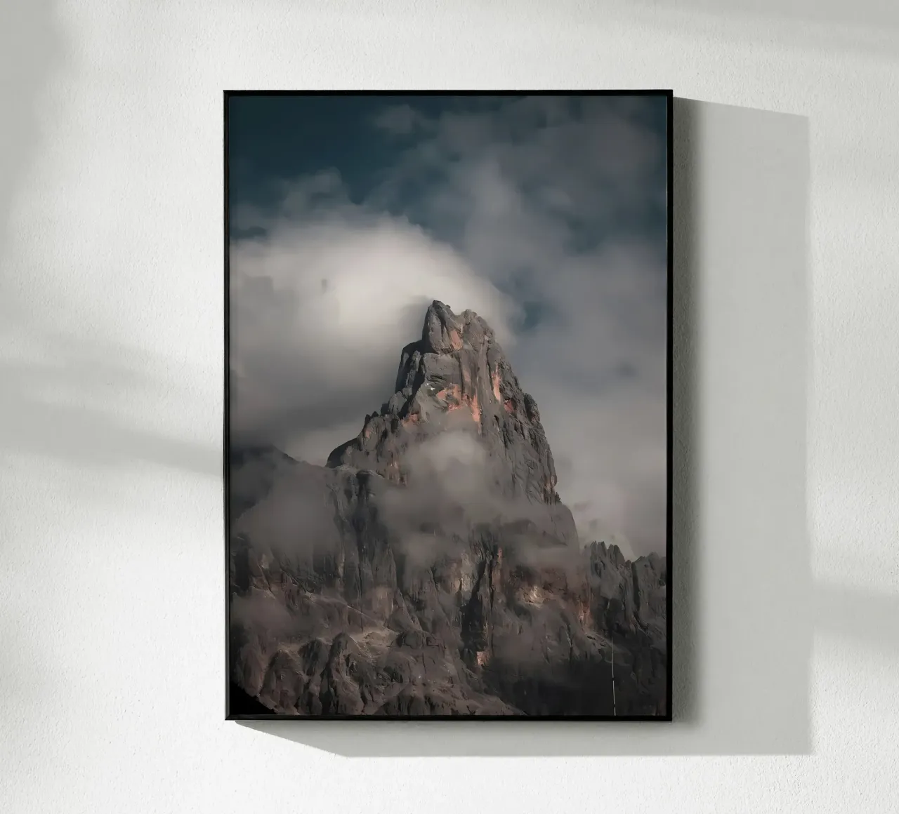 nature poster plexiglass da Matthew Katz