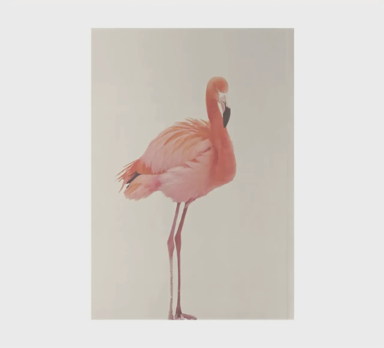 Flamingo in Snow Rose notebook by Monika Strigel