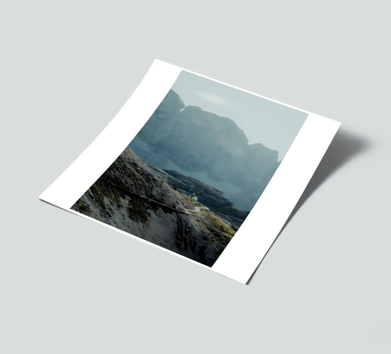 Wall sticker sheet by Matthew Katz