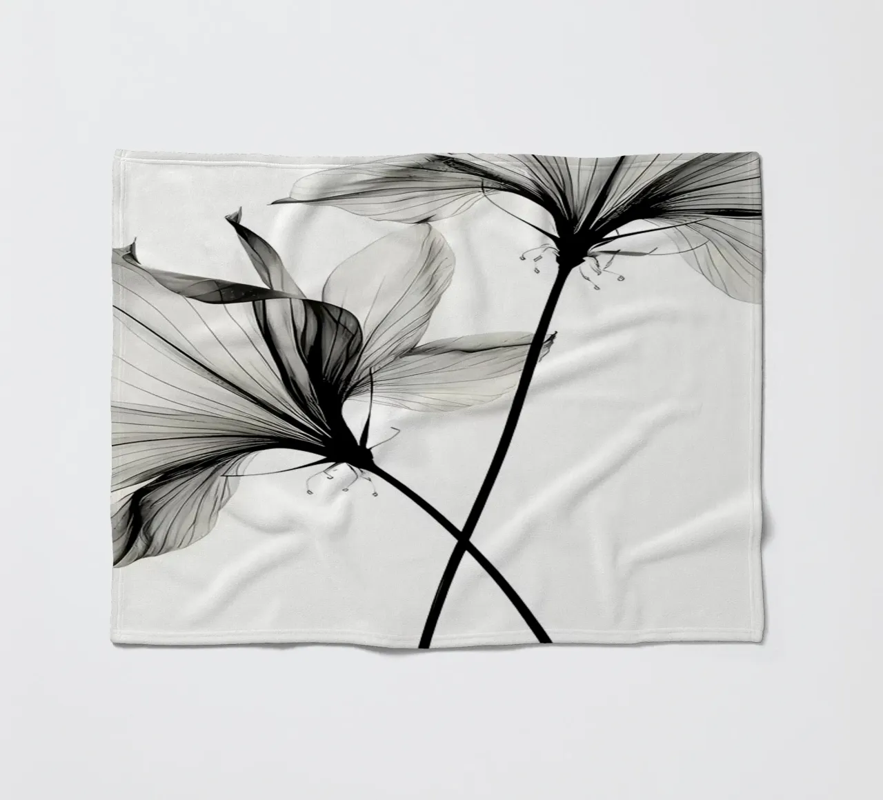 Botanico trasparente n. 6 coperta in pile da Nicholas Campbell