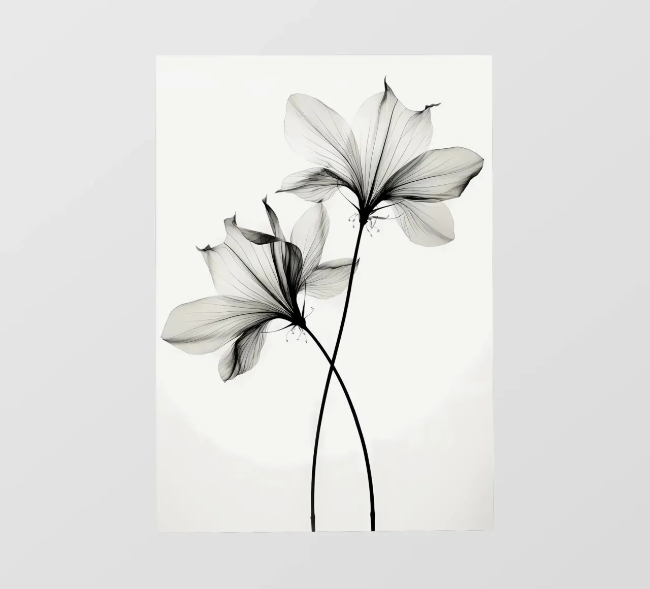 Botanico trasparente n. 6 telo in pvc da Nicholas Campbell
