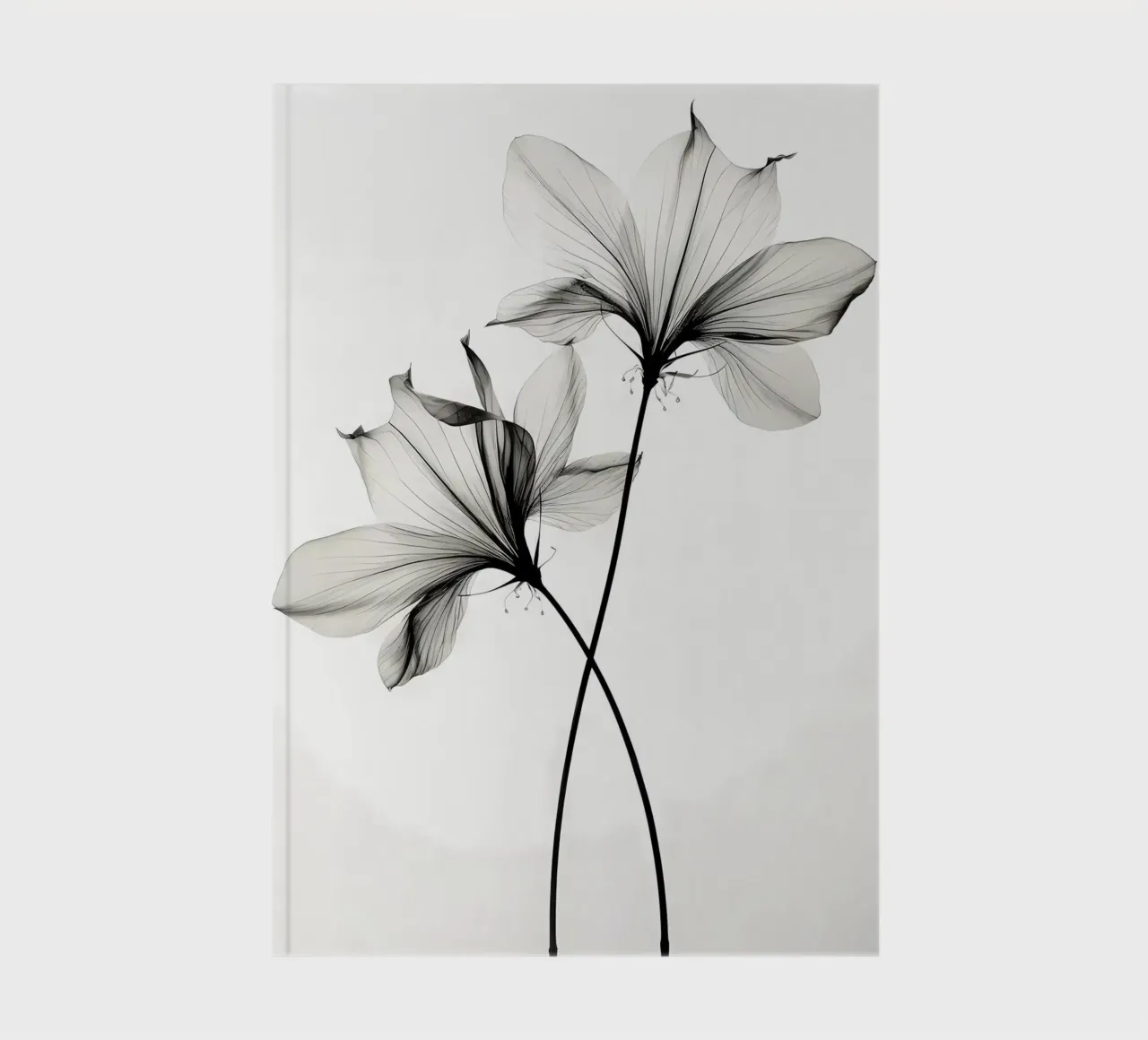 Botanico trasparente n. 6 diario da Nicholas Campbell