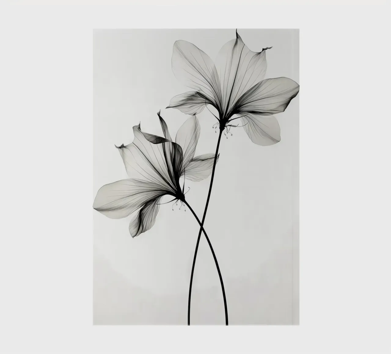 Botanico trasparente n. 6 diario da Nicholas Campbell