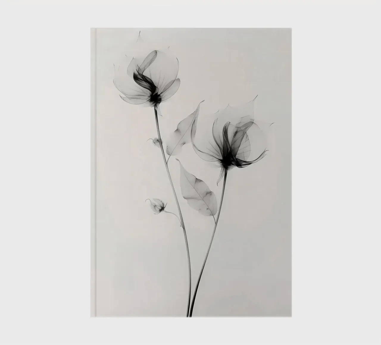 Botanico trasparente n. 7 diario da Nicholas Campbell