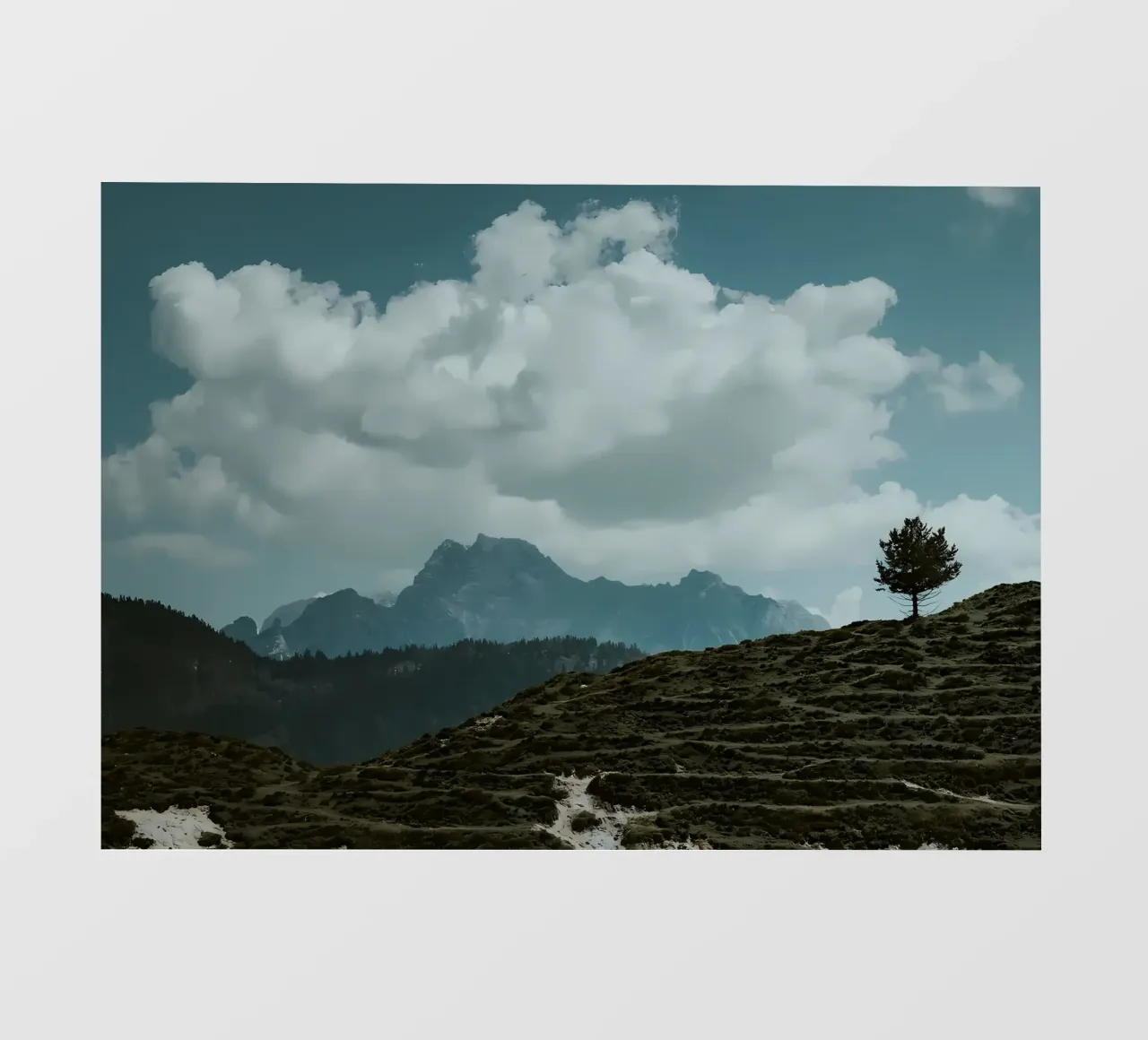 Paesaggio montano di Lone Tree pellicola backlit da Matthew Katz