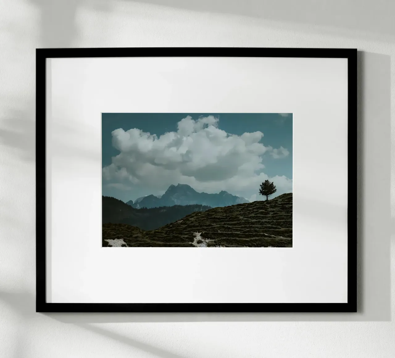 Einsamer Baum - Berglandschaft Poster von Matthew Katz