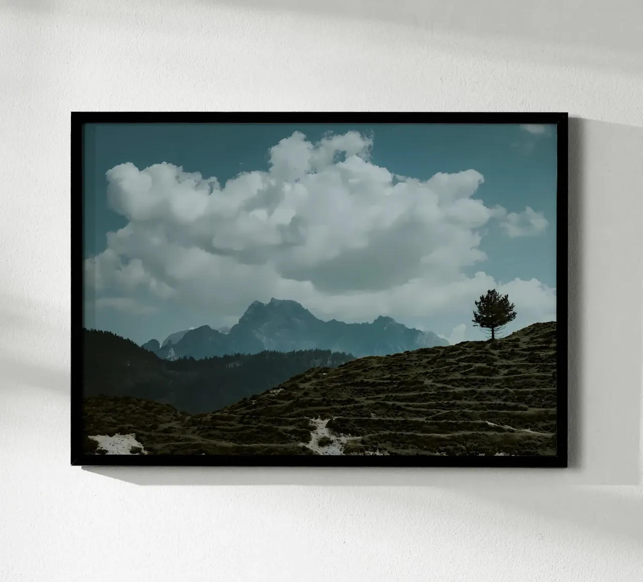 Einsamer Baum - Berglandschaft Poster von Matthew Katz