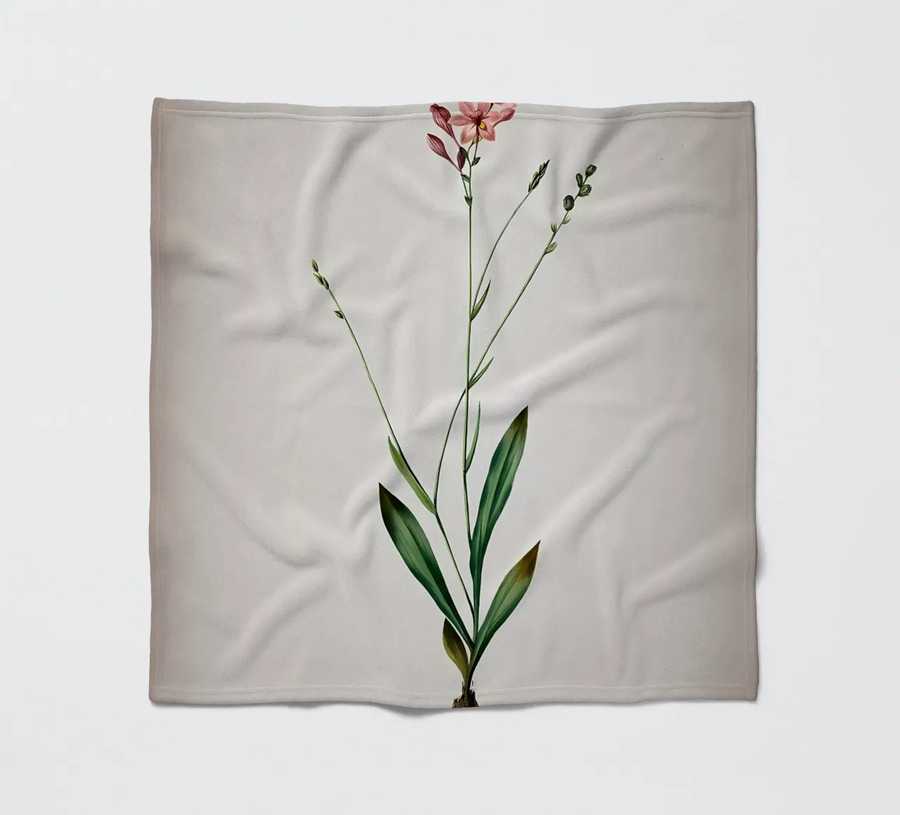 Gladiolo vintage Junceus coperta in pile da Nicholas Campbell
