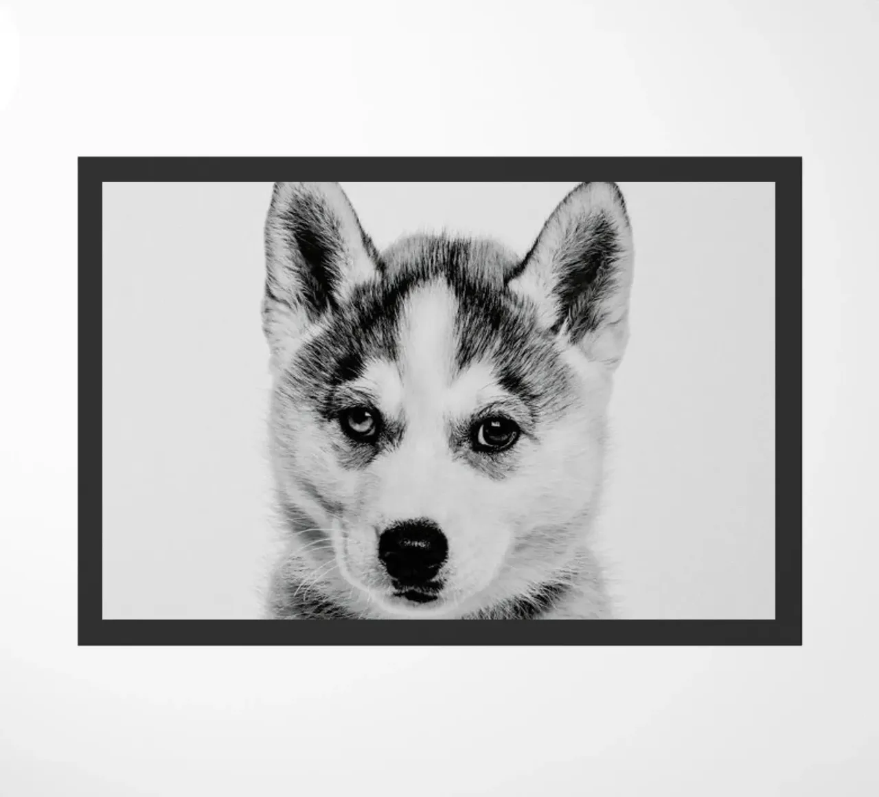 Husky Classic zerbino da Paws & Claws