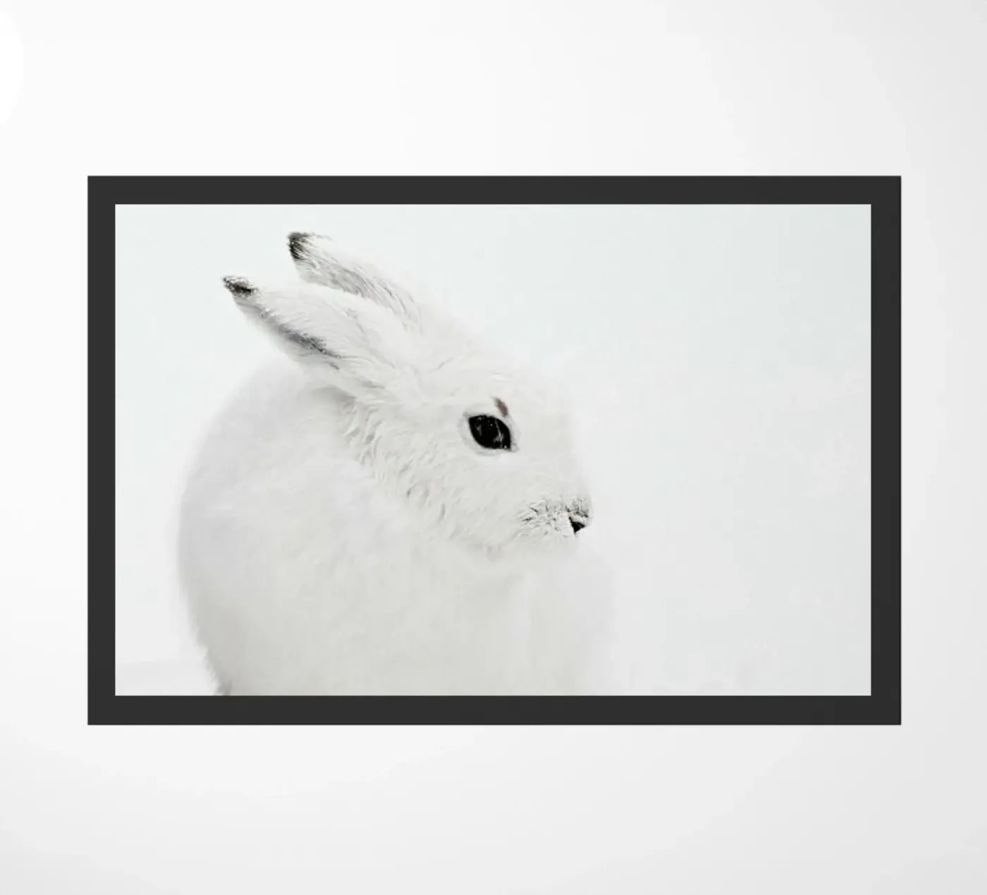 Arctic Hare deurmat van Monika Strigel