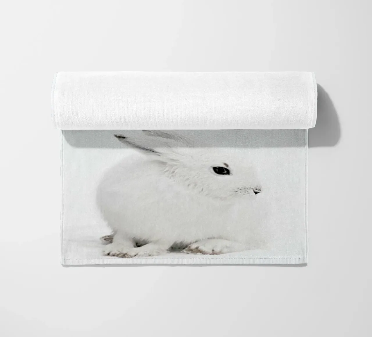 Arctic Hare telo mare da Monika Strigel