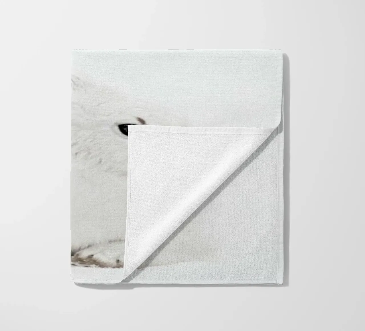 Arctic Hare telo mare da Monika Strigel