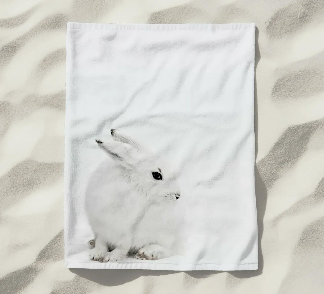 Arctic Hare telo mare da Monika Strigel