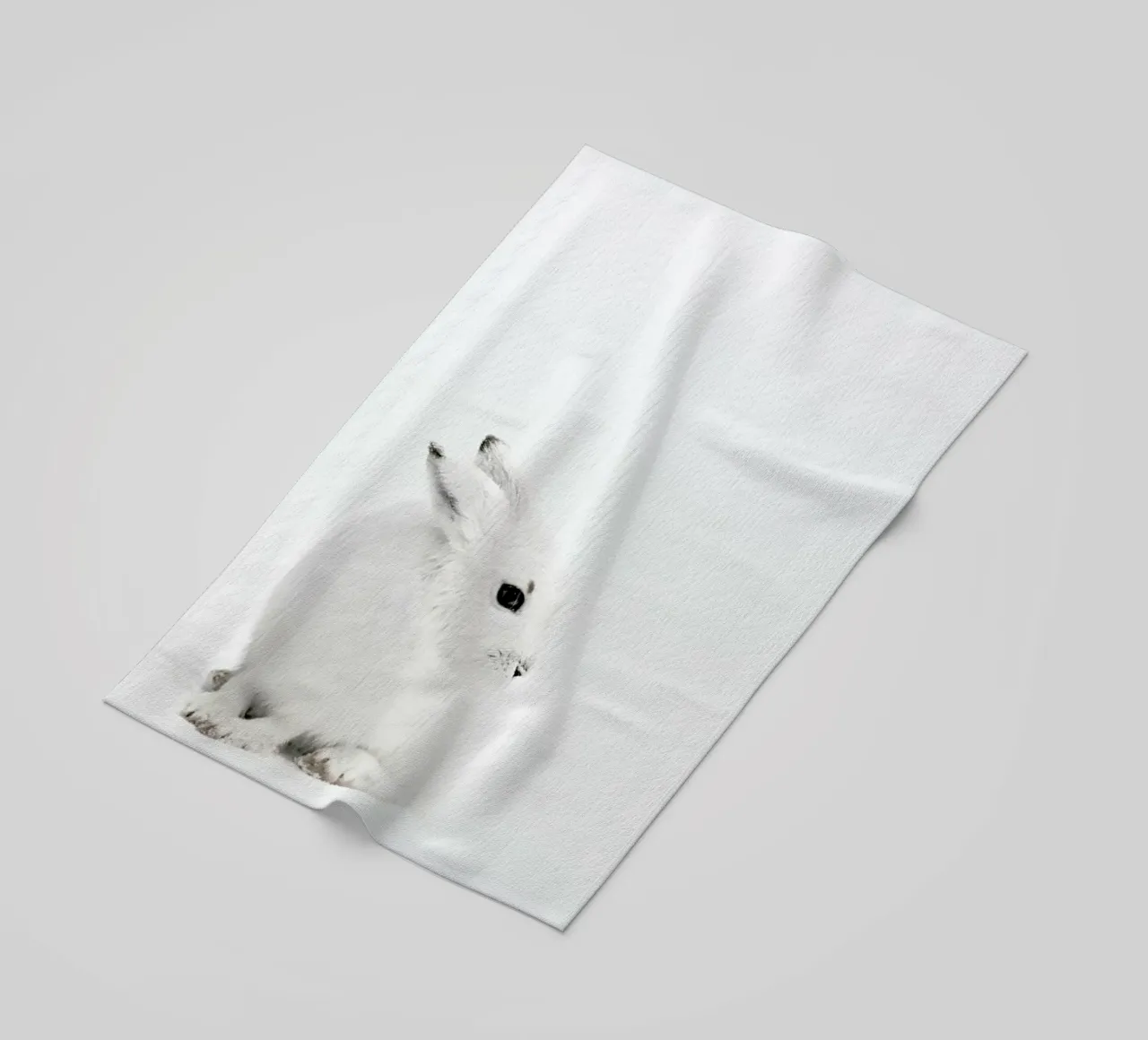 Arctic Hare telo mare da Monika Strigel