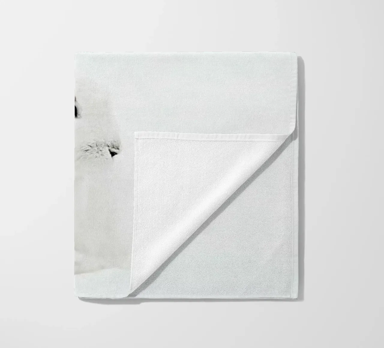 Arctic Hare telo mare da Monika Strigel