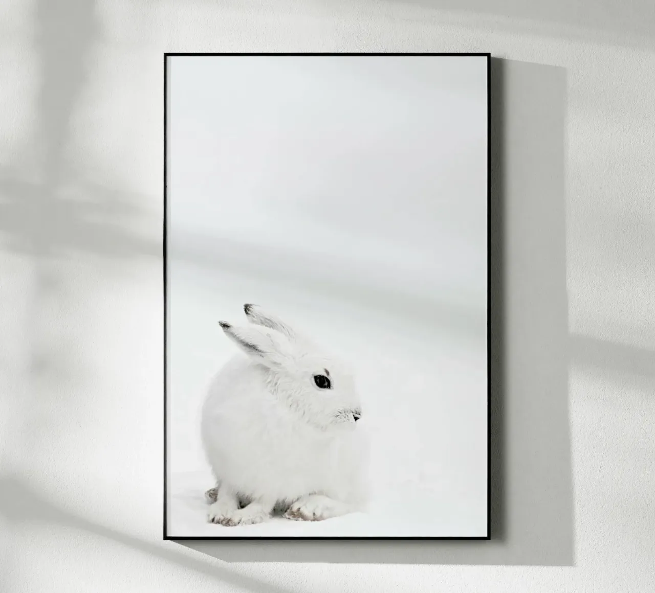 Arctic Hare plexiglass da Monika Strigel