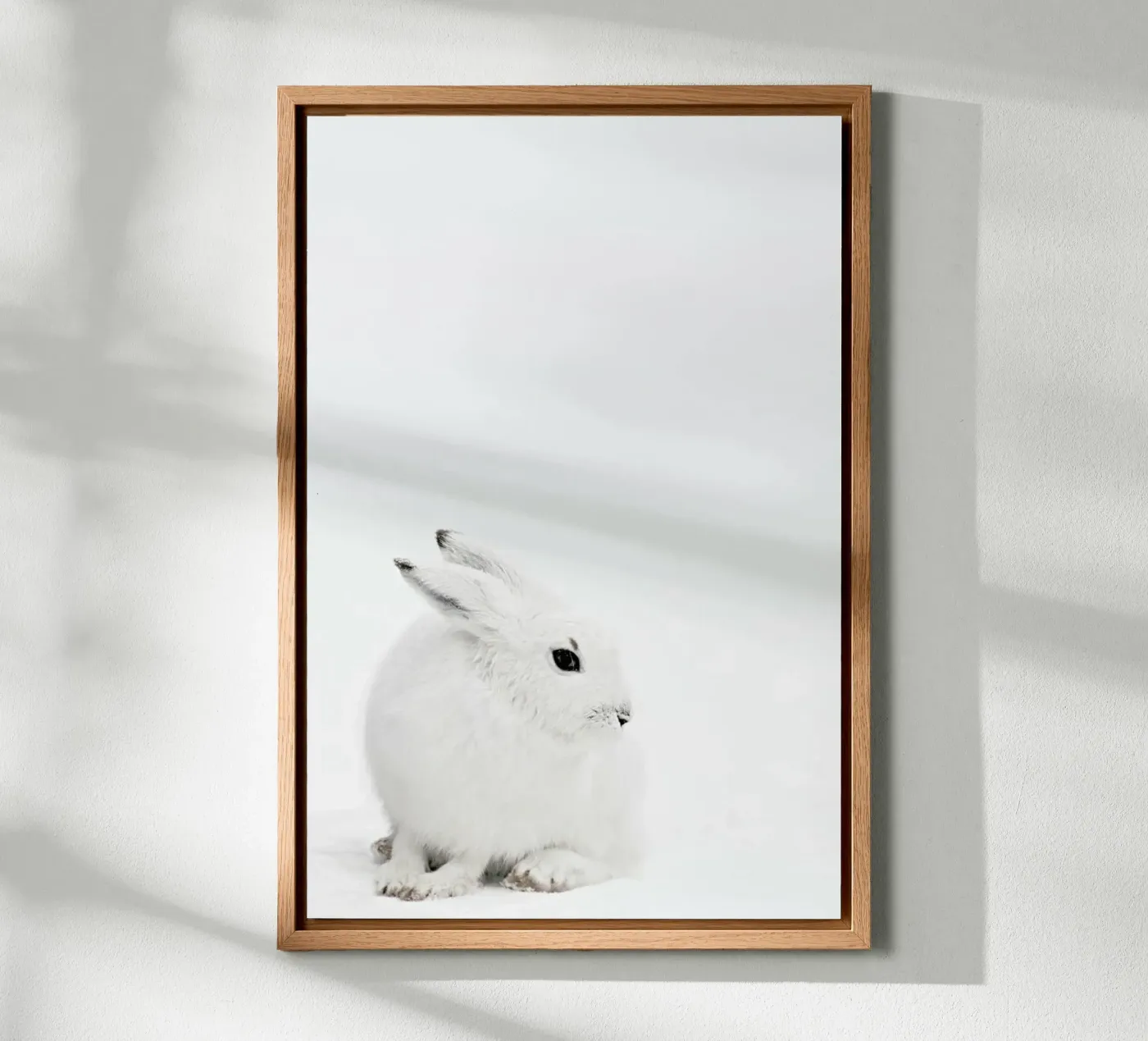 Arctic Hare pannello forex da Monika Strigel