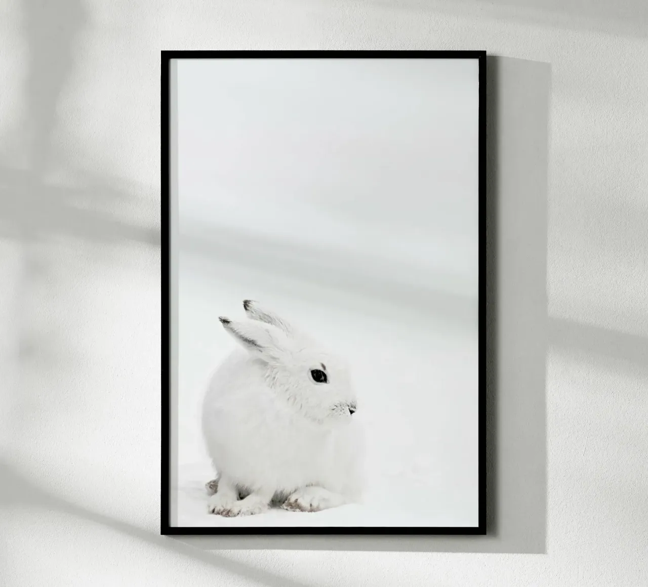 Arctic Hare poster con telaio in plastica da Monika Strigel