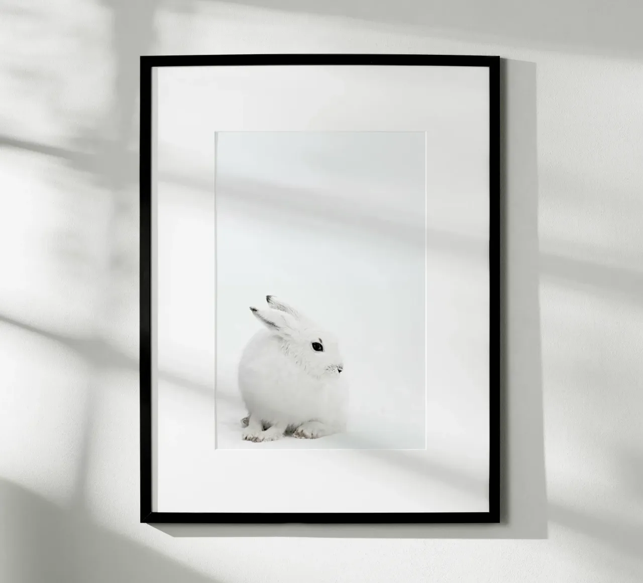 Arctic Hare poster con telaio in plastica da Monika Strigel