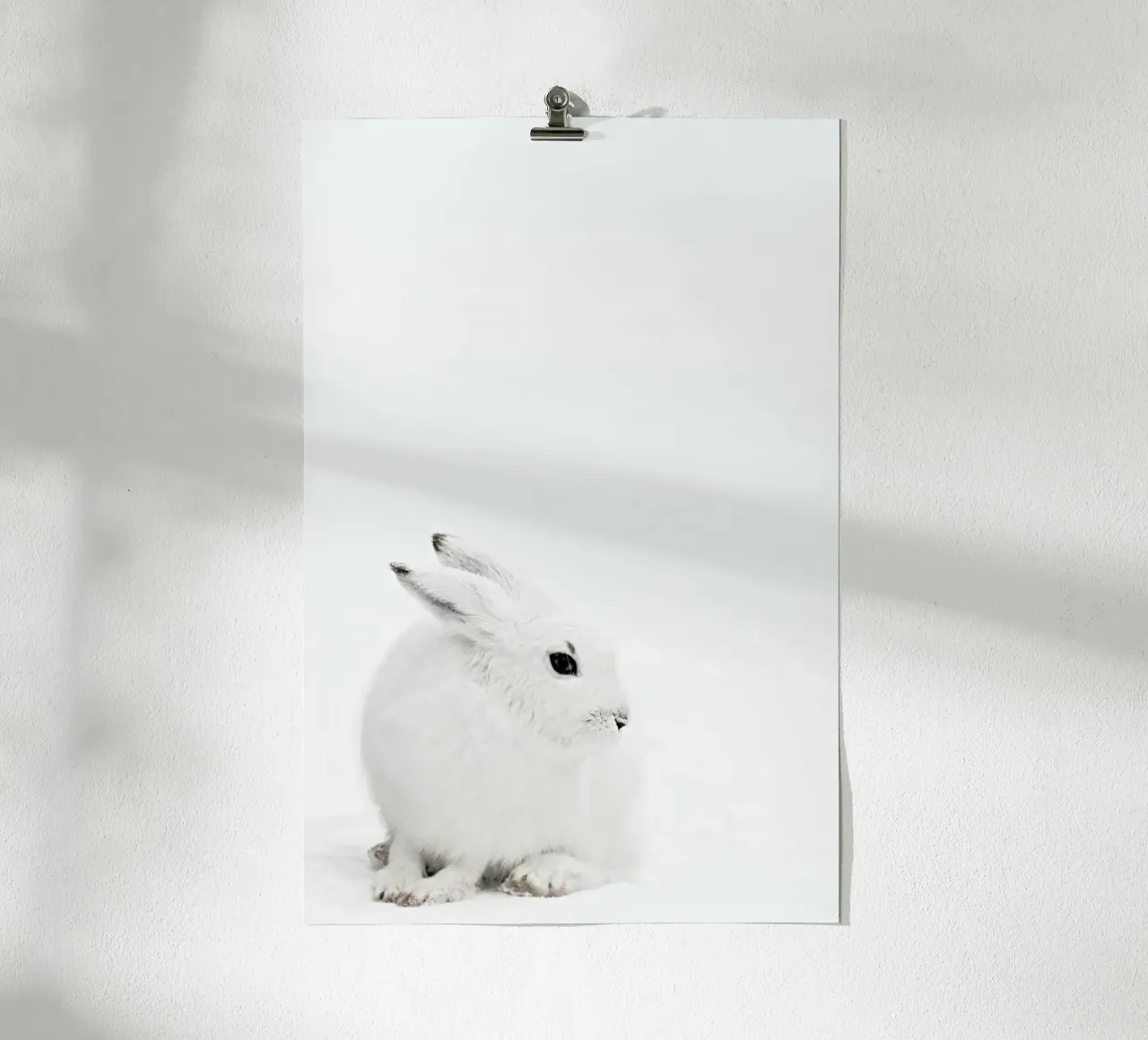 Arctic Hare poster con telaio in plastica da Monika Strigel