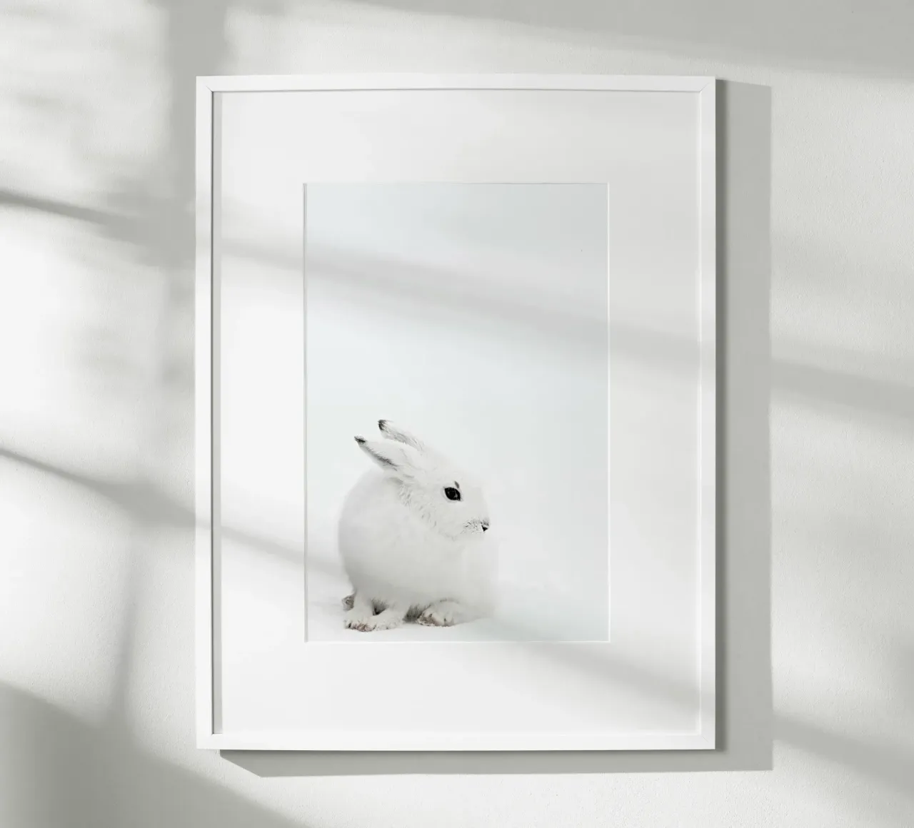 Arctic Hare poster con telaio in plastica da Monika Strigel
