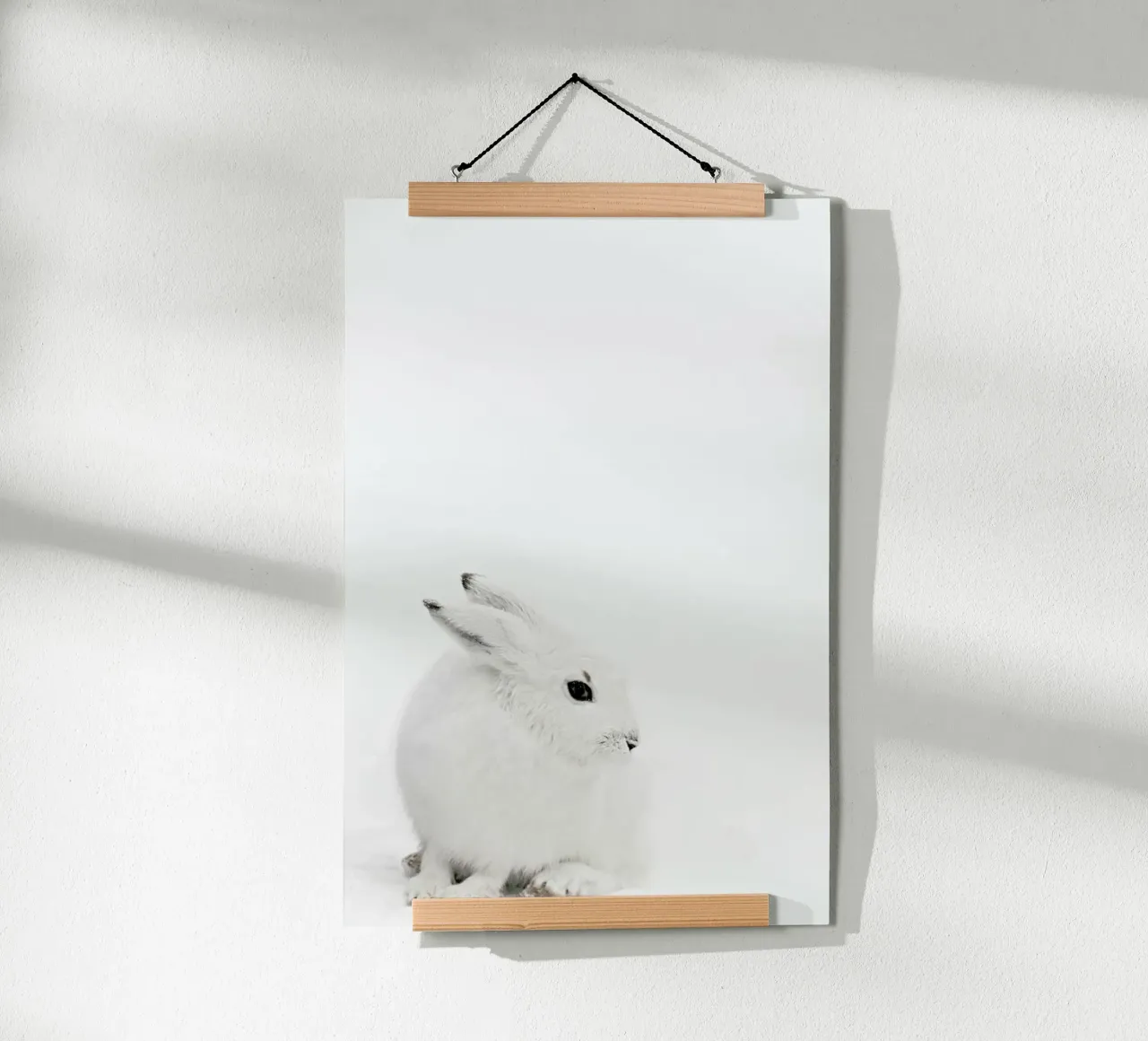 Arctic Hare poster con telaio in plastica da Monika Strigel