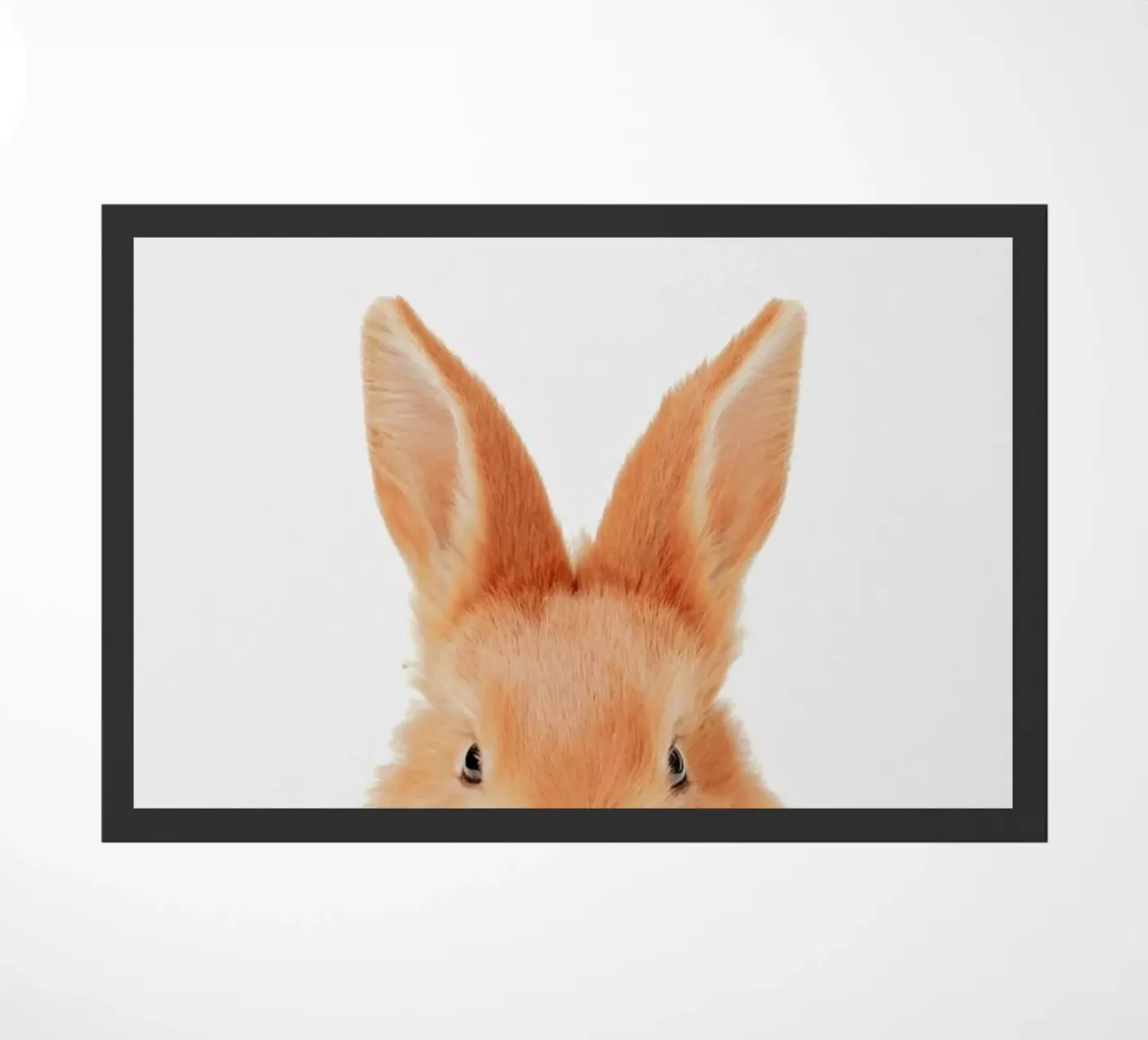 Bunny zerbino da Paws & Claws