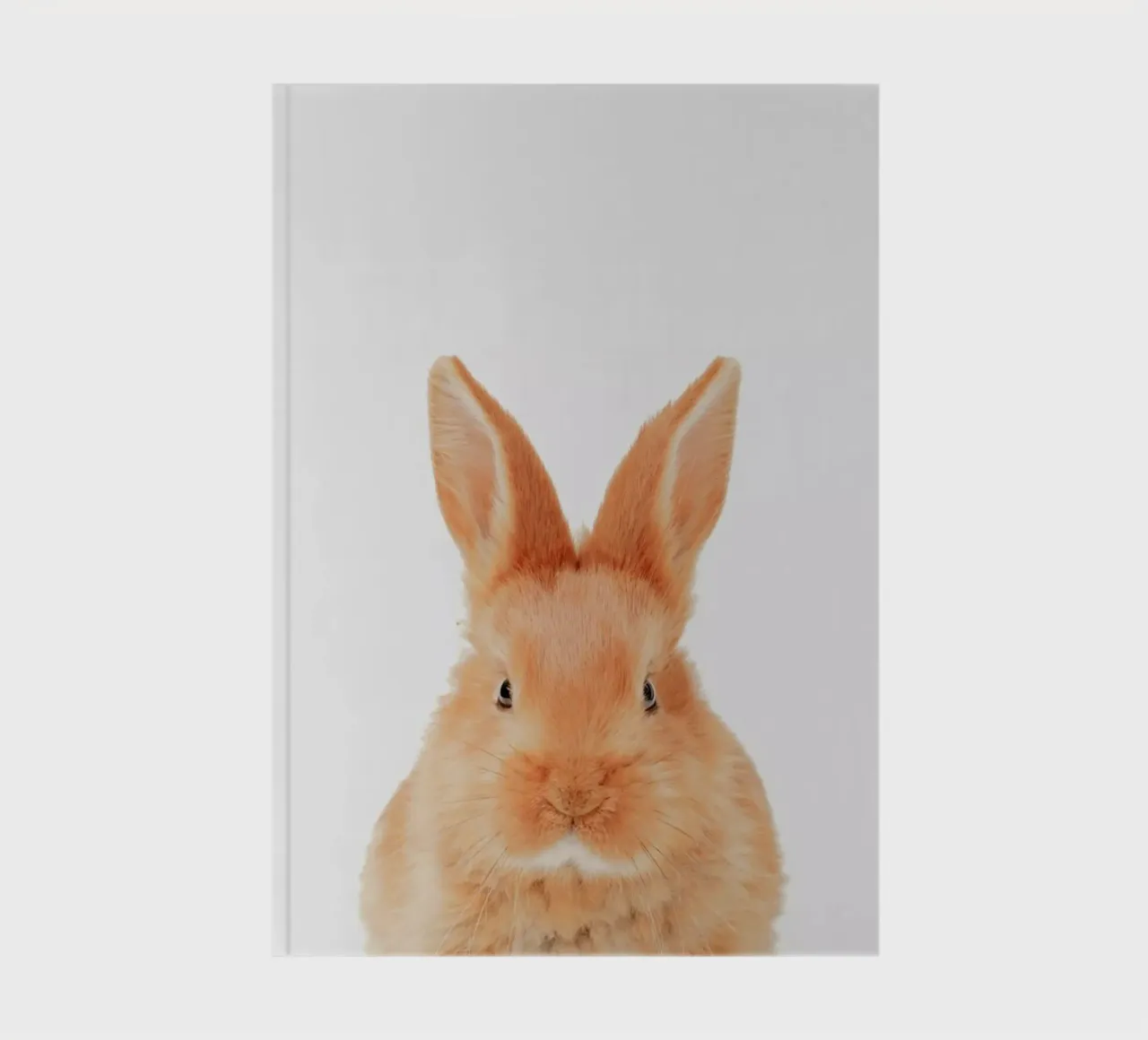 Bunny notitieboek van Paws & Claws