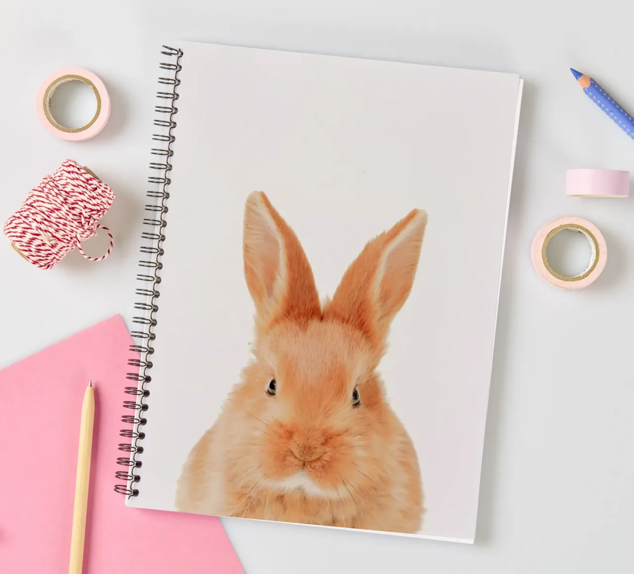 Bunny carnet à spirale de Paws & Claws