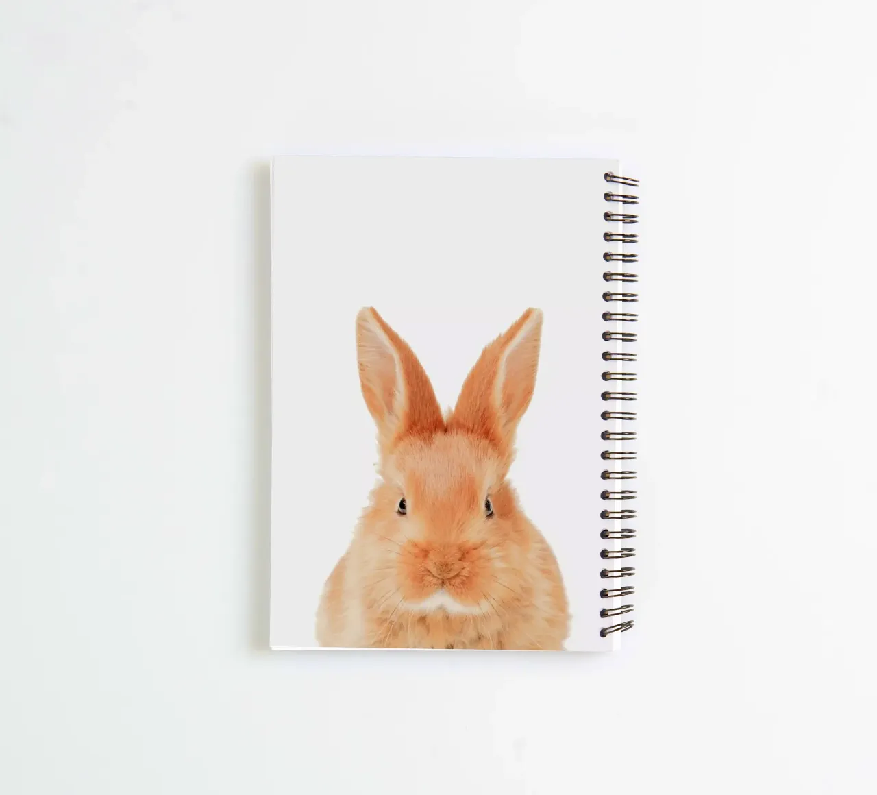 Bunny carnet à spirale de Paws & Claws