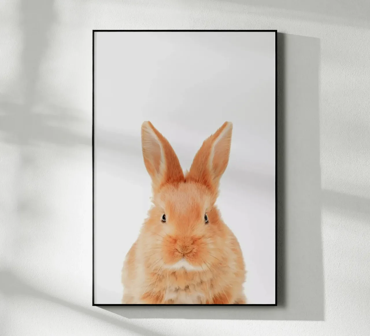 Bunny plexiglass da Paws & Claws