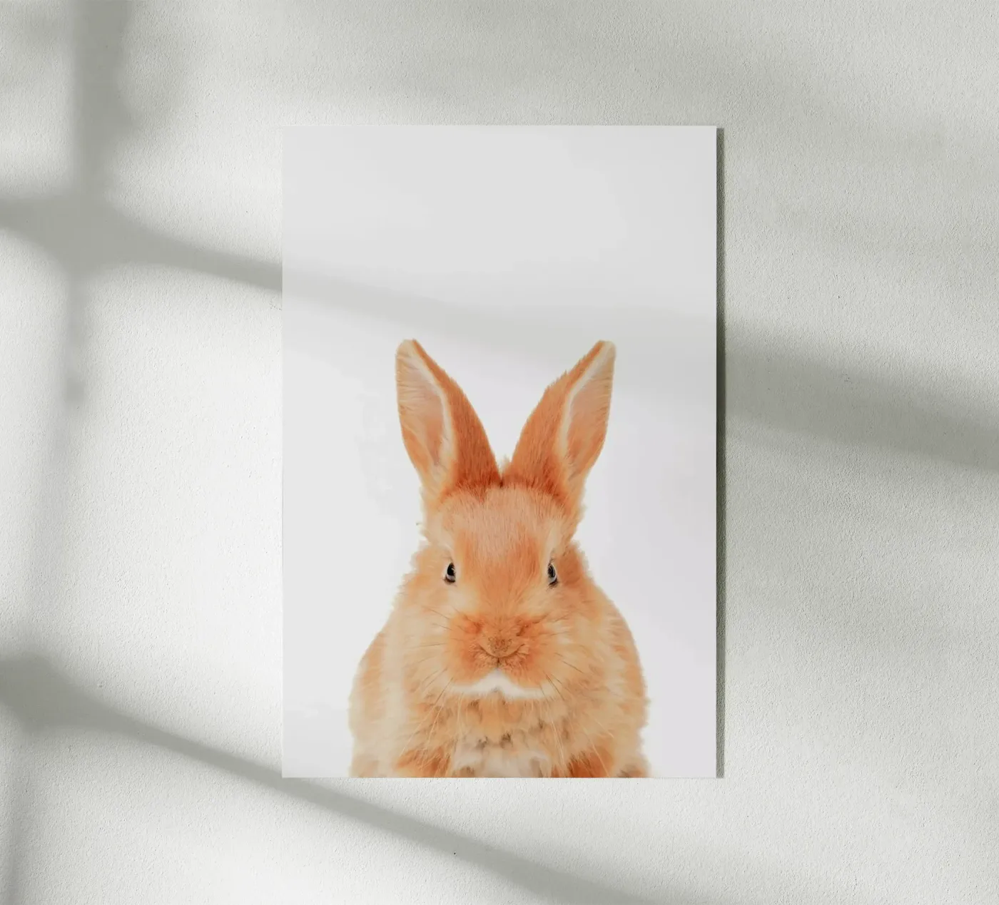 Bunny Acryl-Glas von Paws & Claws