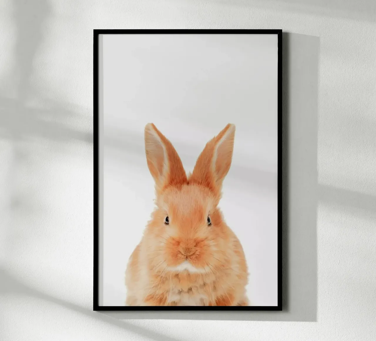 Bunny poster by Paws & Claws
