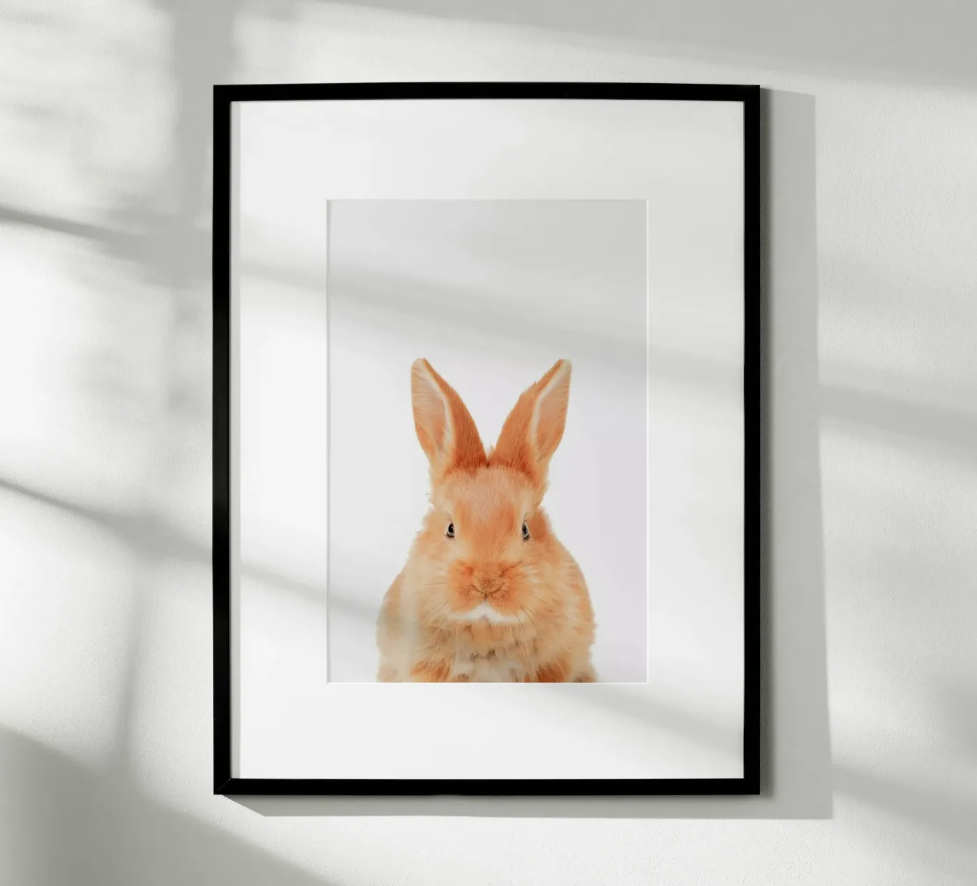 Bunny poster van Paws & Claws
