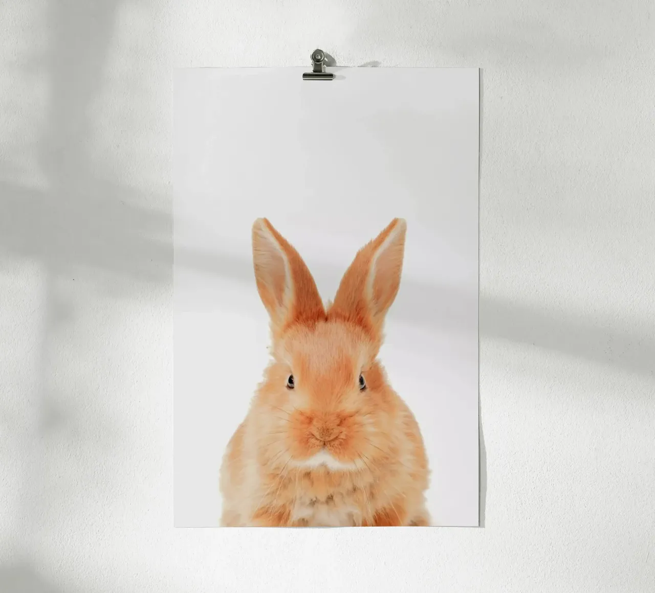 Bunny poster by Paws & Claws