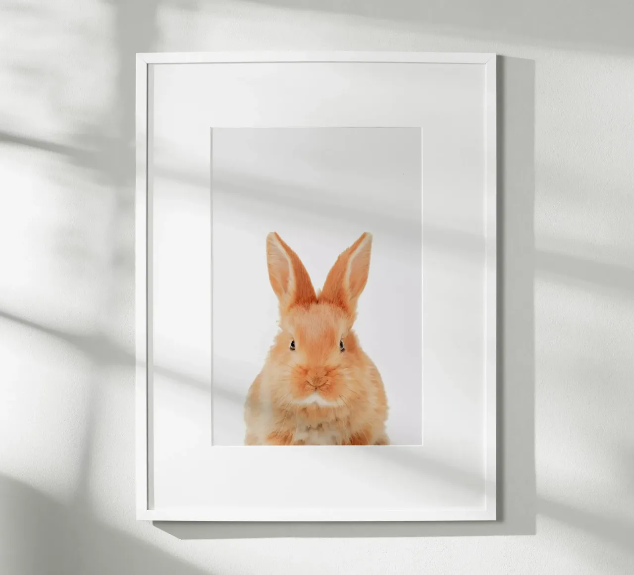 Bunny poster by Paws & Claws