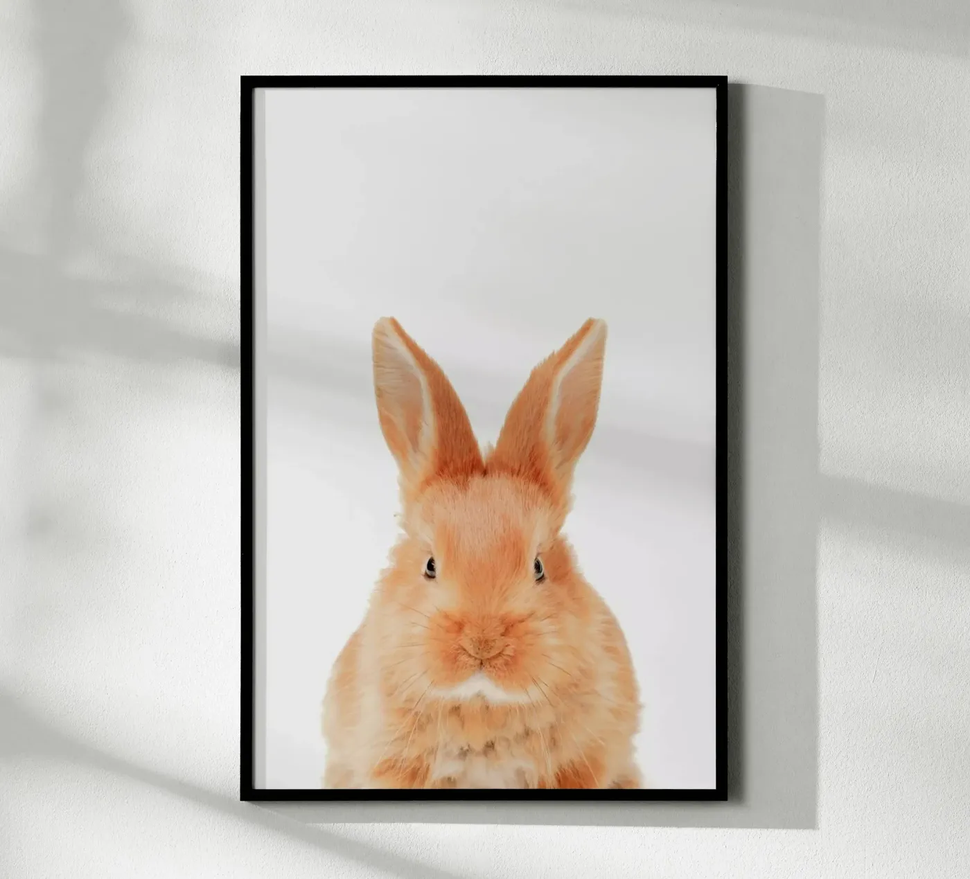 Bunny poster van Paws & Claws
