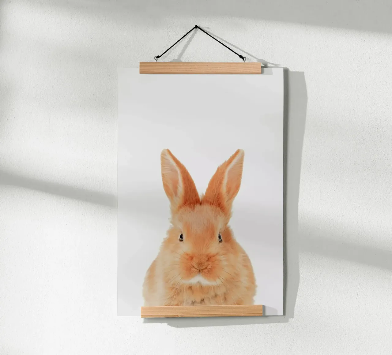 Bunny poster by Paws & Claws