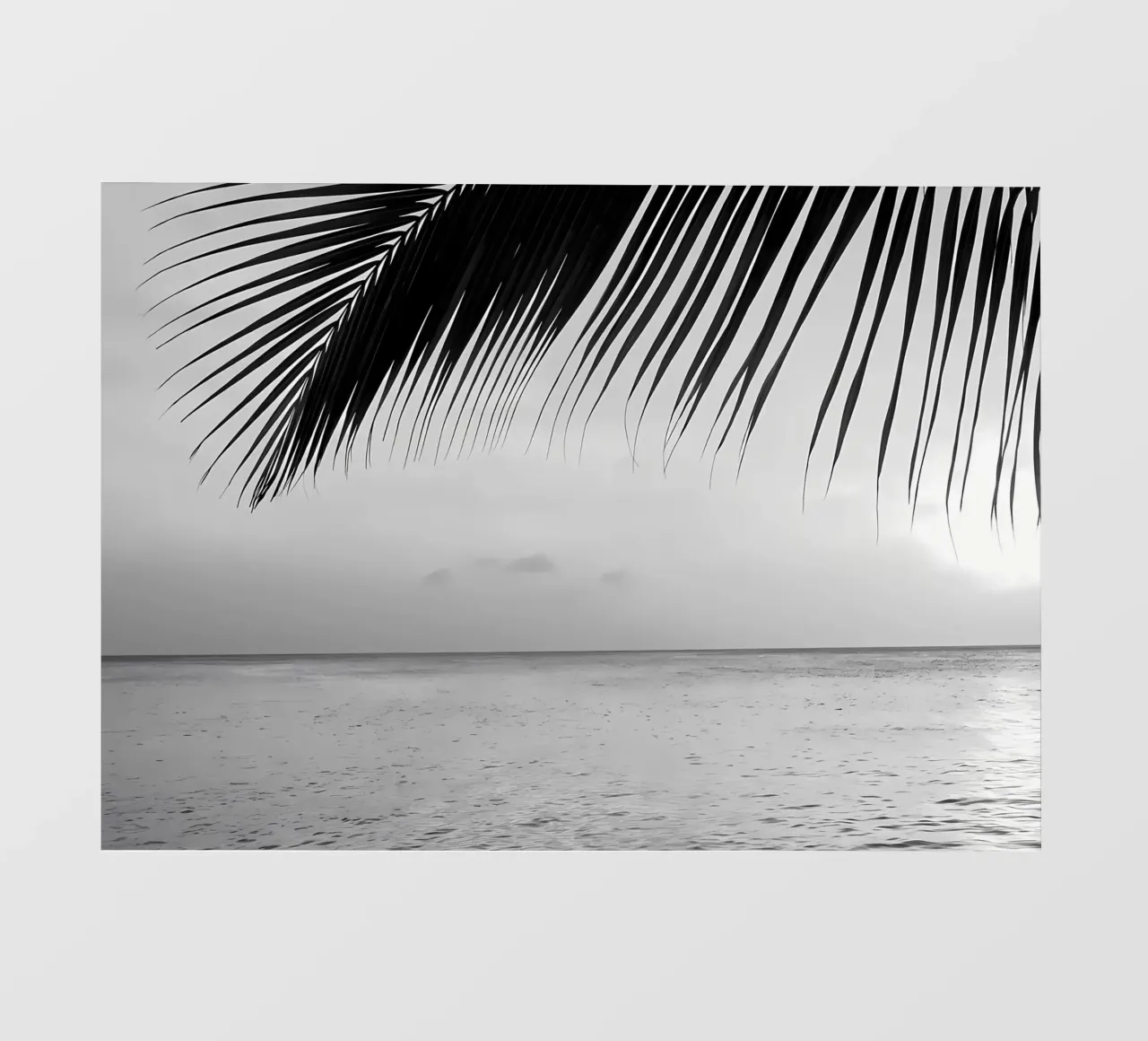 Tramonto Caraibico Oceano 3 pellicola backlit da Matthew Katz